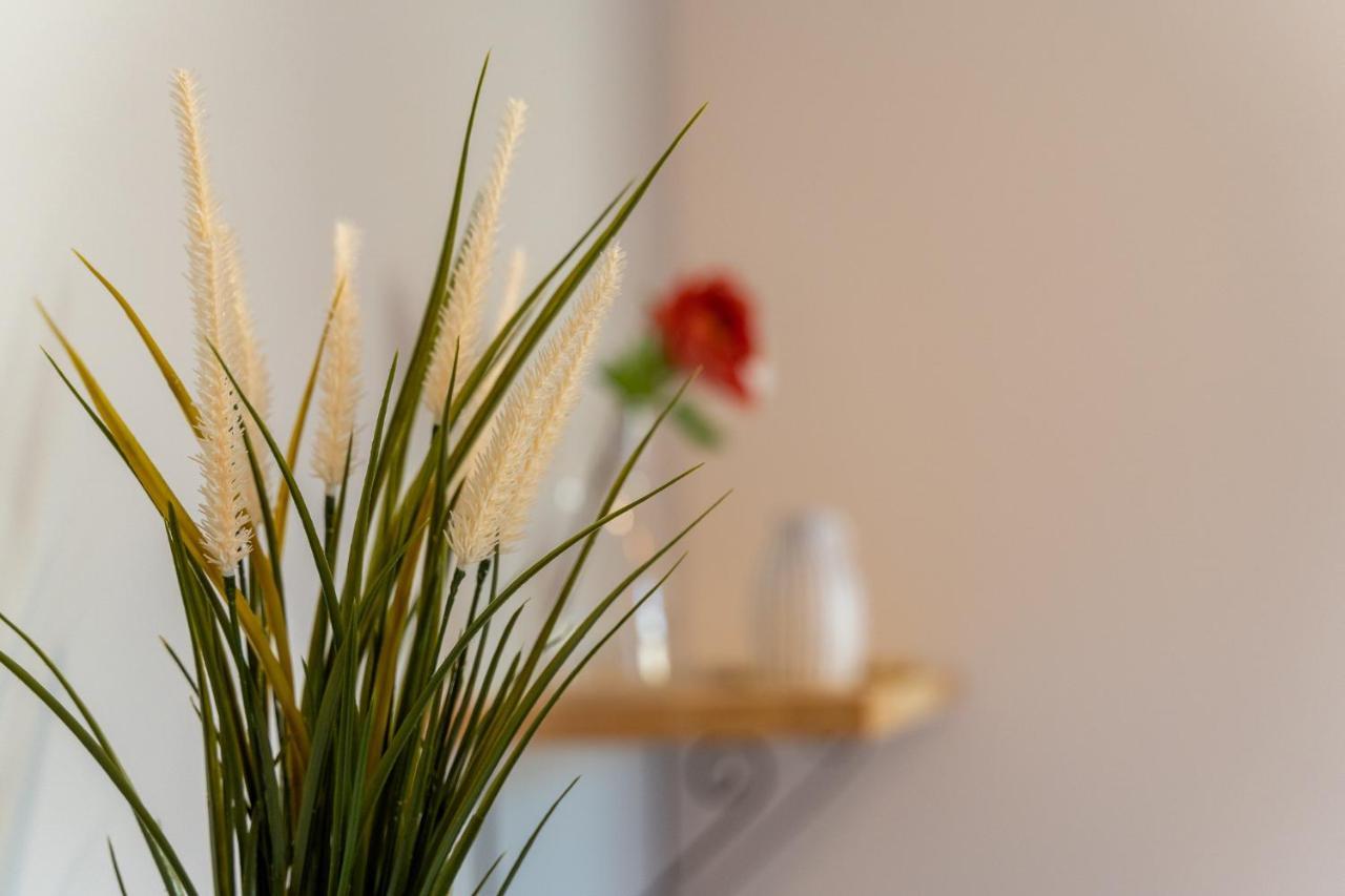 Apartamenty Nad Niwka Bielsko-Biała Exteriör bild